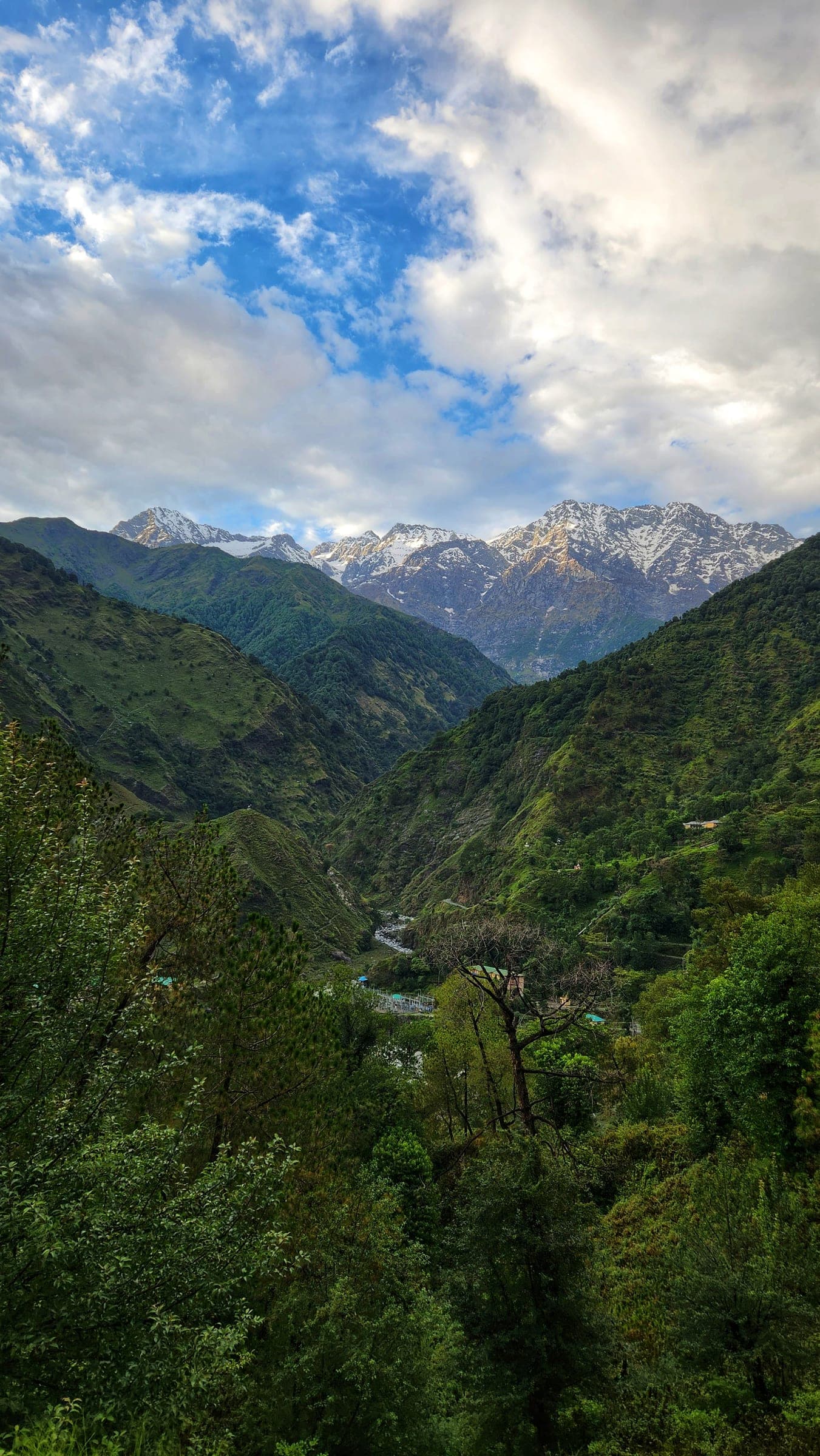 A green monsoon valley falling away to a river, the snow ridge beyond it catching the last of the light under broken cloud.