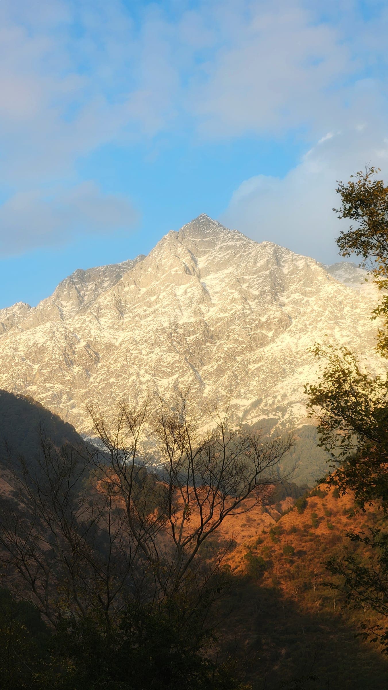A snow face lit gold by low sun, bare branches and autumn foliage across the foreground under a blue sky.